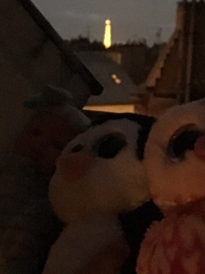 UNADJUSTEDNONRAW_thumb_1abe